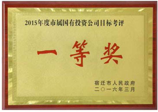 2015年度市屬?lài)?guó)有投資公司目標(biāo)考核一等獎(jiǎng)